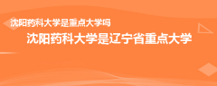 沈阳药科大学是重点大学吗