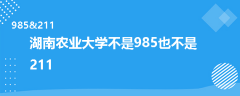 湖南农业大学是985还是211
