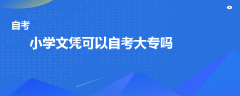 小学文凭可以自考大专吗