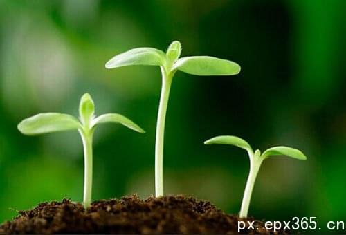 成考报名需要什么手续及证件_www.epx365.cn