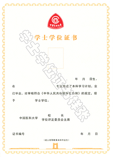 学位证