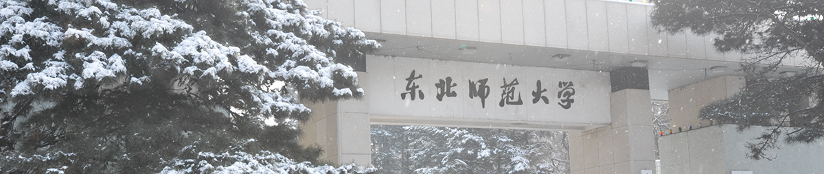 2020年东北师范大学网络教育会计学(高起本)招生