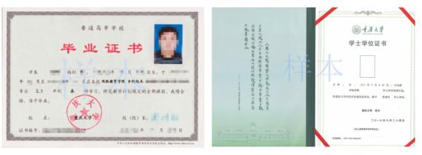 网络教育毕业/学位证书