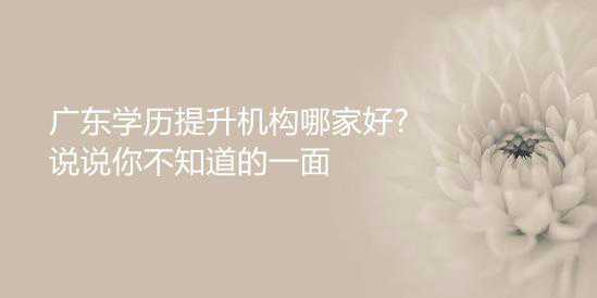 广东学历提升机构哪家好?说说你不知道的一面