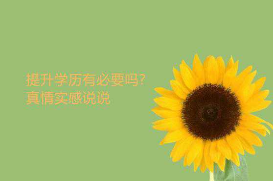 提升学历有必要吗?真情实感说说