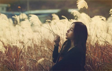 2020自考每科都过60分了，拿不了毕业证和学位证的原因?