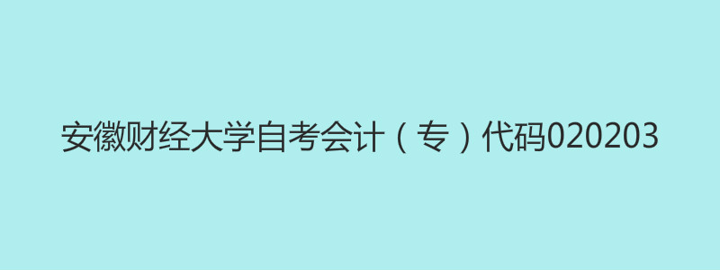 安徽财经大学自考管帐（专）代码03