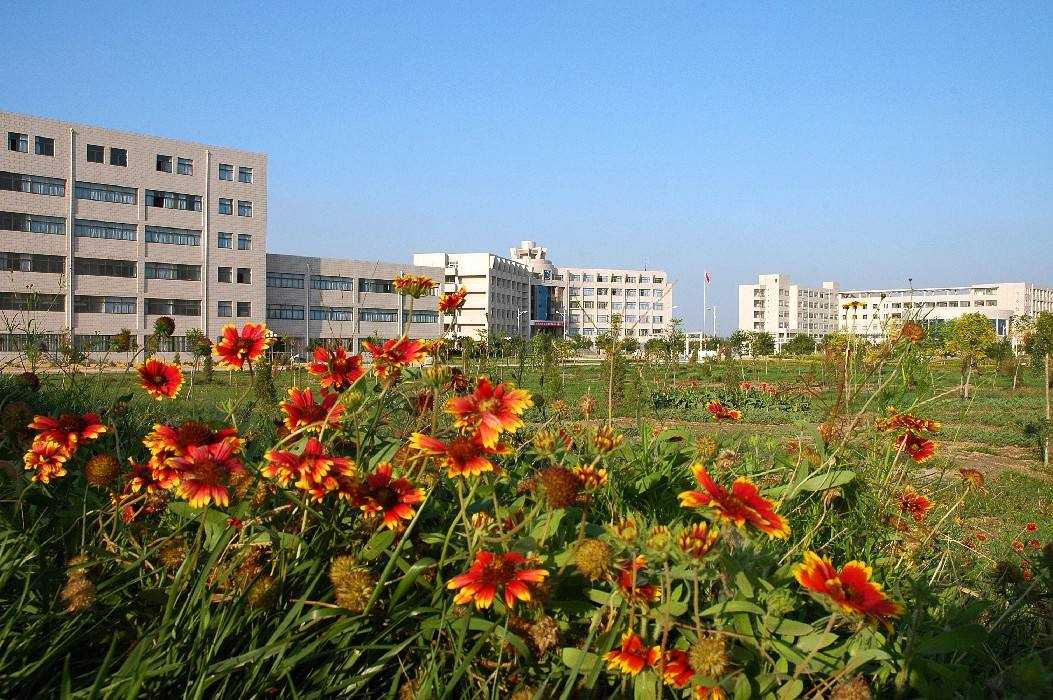 重庆科技学院2020年自考考试时间