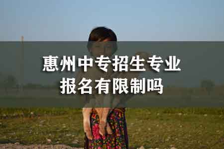 2020年广州有哪些自考全日制商务英语大专本科学校招中专职中生