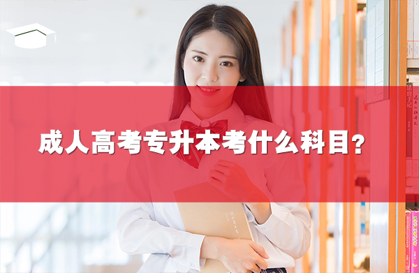 成人高考专升本考什么科目