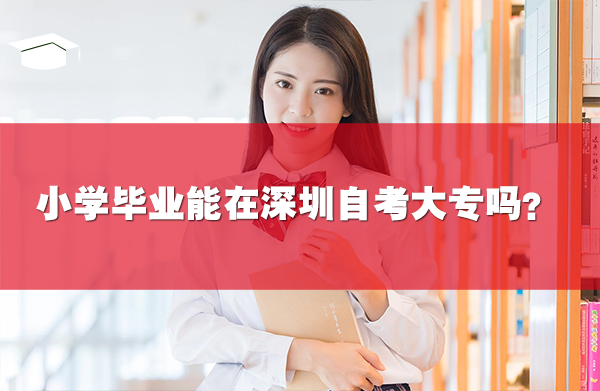 小学毕业能在深圳自考大专吗?