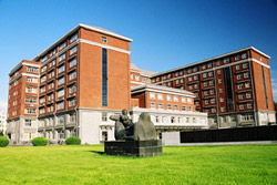 对外经济贸易大学