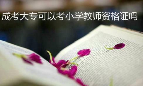 成考大专可以考小学教师资格证吗？带你了解成考大专学历的用途