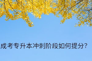 成考专升本冲刺阶段如何提分？如何在短时间内提高成绩？　