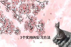 成考怎么复习备考？3个实用的复习方法快拿走！