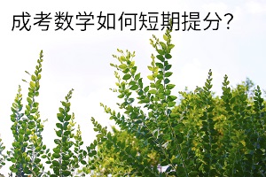 成考数学如何短期提分？有效的复习方法是什么？