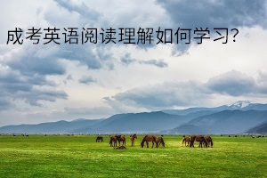 成考英语阅读理解如何学习？英语阅读得高分的秘诀是什么？