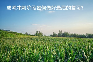 成考冲刺阶段如何做好最后的复习？考前如何平衡作息？