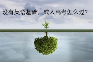 没有英语基础，成人高考怎么过？英语复习看准这4点！