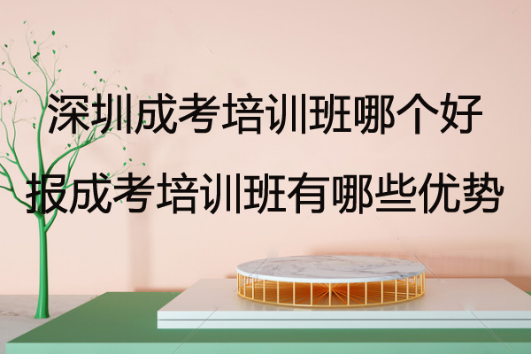 深圳成考培训班哪个好？报成考培训班有哪些优势？