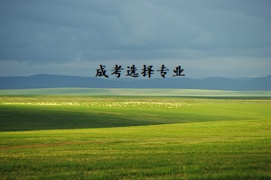 成人高考热门专业有哪些？从哪些方面选择专业？