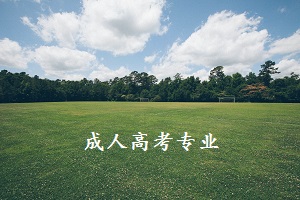 成人高考管理类专业需要学习哪些主要课程?