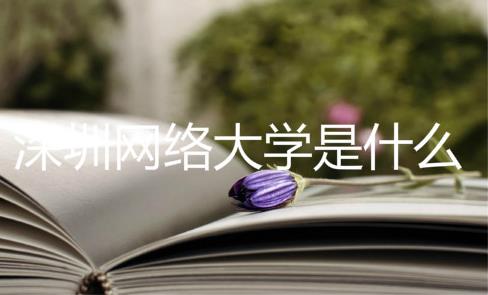 深圳网络大学是什么？深大有网络教育吗？