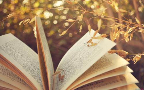 通过成考文凭找工作是否更快速 通过成考文凭找工作是否更快速_www.epx365.cn