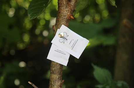 专升本的人都是傻吗