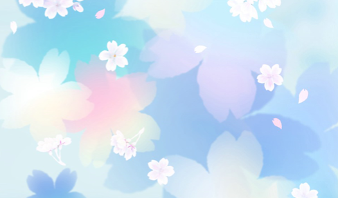 低学历自考什么专业好