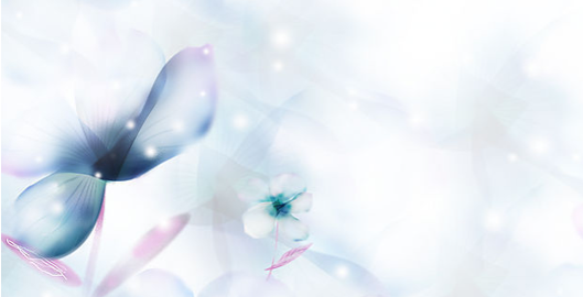 自考可以自己报名吗