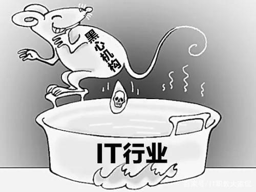 IT培训机构口碑这么差 为何还有这么多人选择_www.epx365.cn