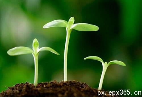 成人高考报名需持有效身份证 成人高考报名需持有效身份证_www.epx365.cn