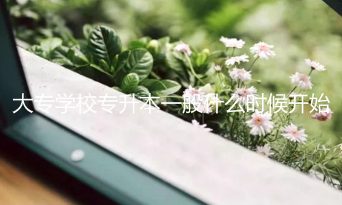 专升本什么时候开始