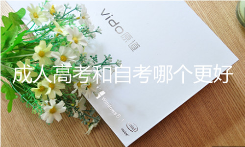 成人高考和自考哪个更好
