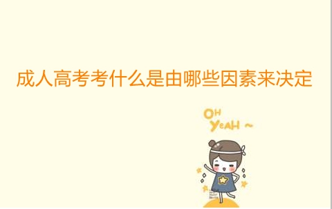 成人高考考什么是由哪些因素来决定
