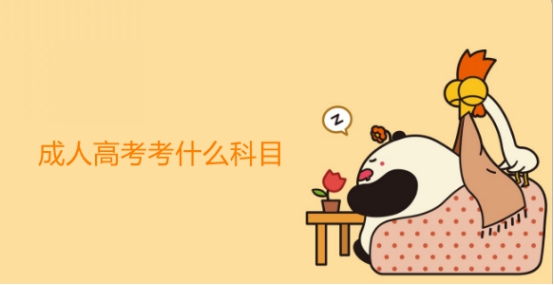 成人高考考什么是由哪些因素来决定