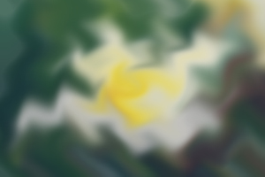 成人专升本语文小说材料精选《断魂枪》的关键知识点讲解