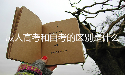 成人高考和自考的区别是什么