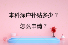 本科深户补贴多少？怎么申请？