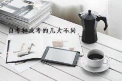 提升文凭是选择深圳成人高考好还是自学考试好