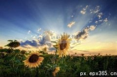 南开大学远程教育学院本科招生吗
