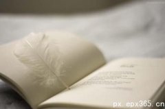 成考政治简答题答题技巧介绍