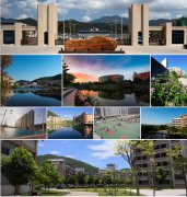 2020年广东理工学院成人高考招生简章