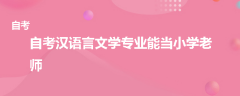 ?自考汉语言文学专业能当小学老师吗