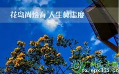 2020年广东财经大学成考招生时间