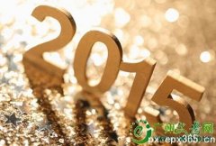 2020年开设成人大专的大学有哪些？
