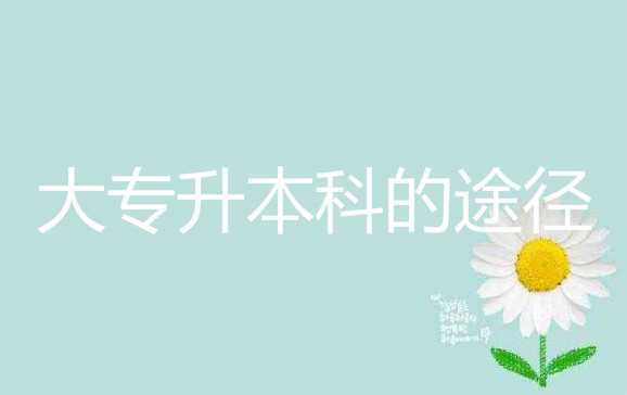 真实经历爆料大 专升本科的途径