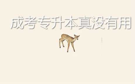 过来人真实经历说说 成考 专升本真没有用