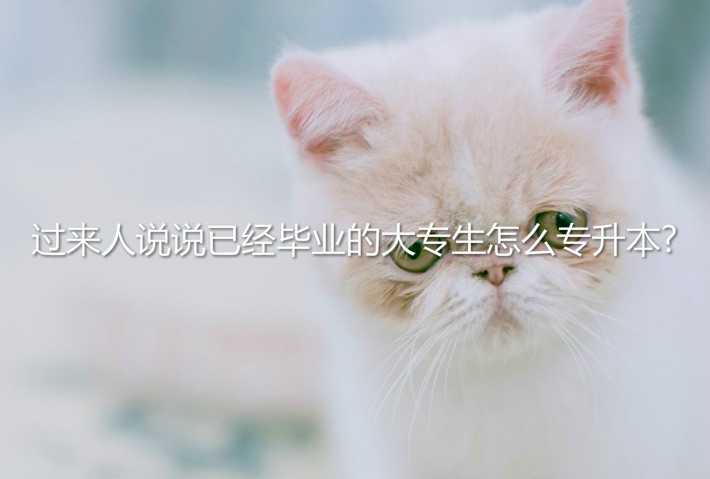 过来人说说已经毕业的大专生怎么 专升本?